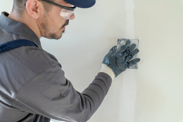 Best Drywall Removal and Disposal  in Oakes, ND